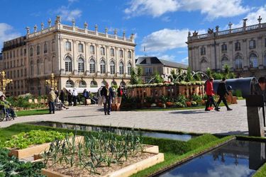 Hotel Grand De La Reine Nancy: Photo 