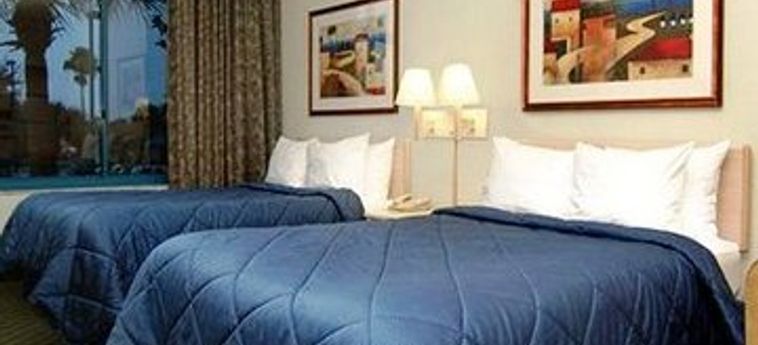 Hotel Comfort Inn And Executive Suite:  NAPLES (FL)