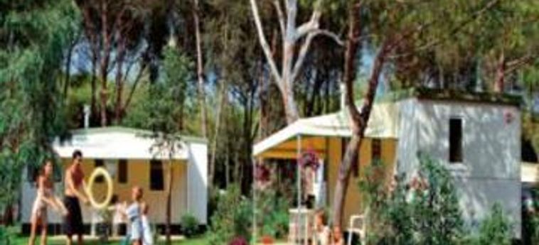 Hotel Baia Domizia Camping Village :  NAPOLI E DINTORNI