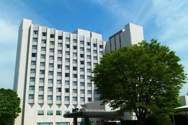 Hotel Radisson Narita:  NARITA - CHIBA PREFECTURE