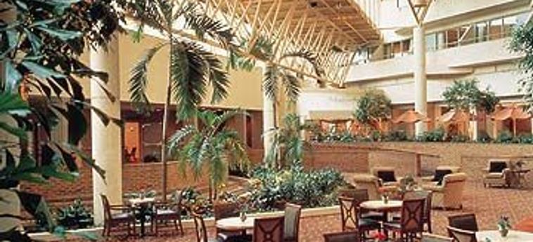 Hotel Hilton Nashville Airport:  NASHVILLE (TN)