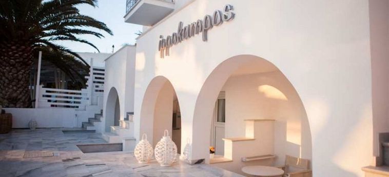 Hotel Ippokampos:  NAXOS