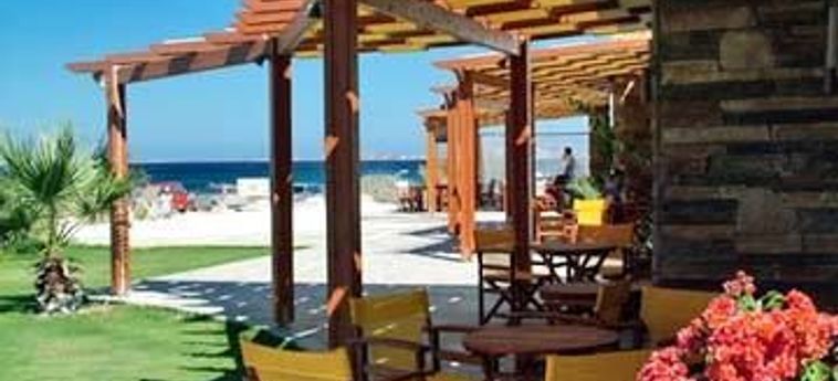 Hotel Orkos Beach:  NAXOS