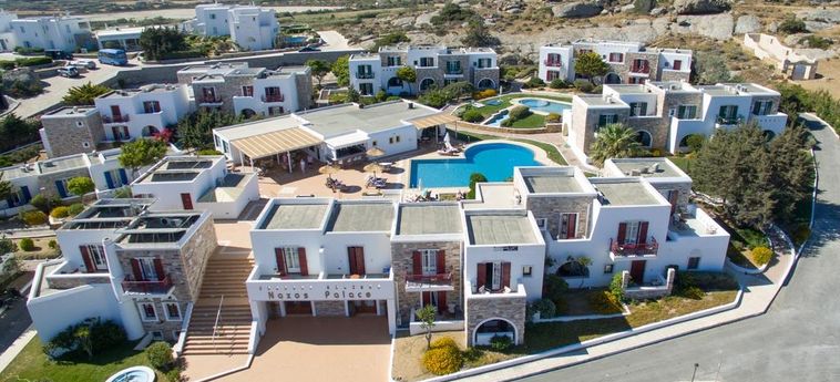 Hotel Naxos Palace:  NAXOS