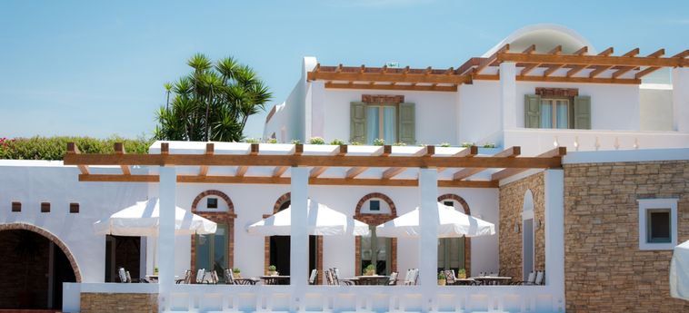 Hotel Porto Naxos:  NAXOS