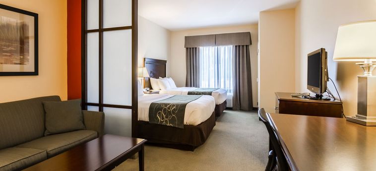 Hotel Comfort Suites:  NEBRASKA CITY (IA)