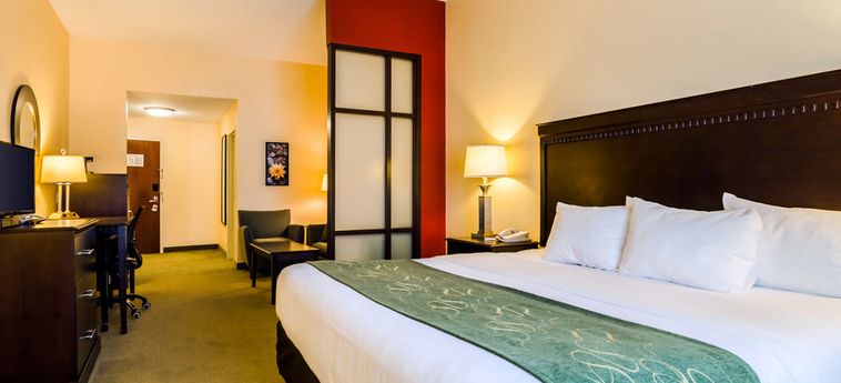 Hotel Comfort Suites:  NEBRASKA CITY (IA)