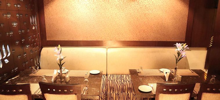 Hotel Shanti Palace West Neu-Delhi: Foto 