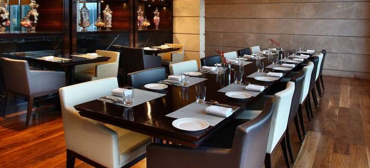 Hotel Crowne Plaza New Delhi Rohini Neu-Delhi: Foto 