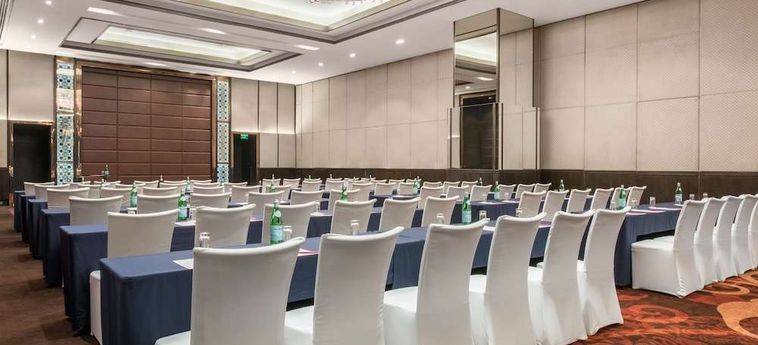 Hotel Crowne Plaza New Delhi Rohini Neu-Delhi: Foto 