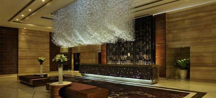 Hotel Crowne Plaza New Delhi Mayur Vihar Noida:  NEU-DELHI
