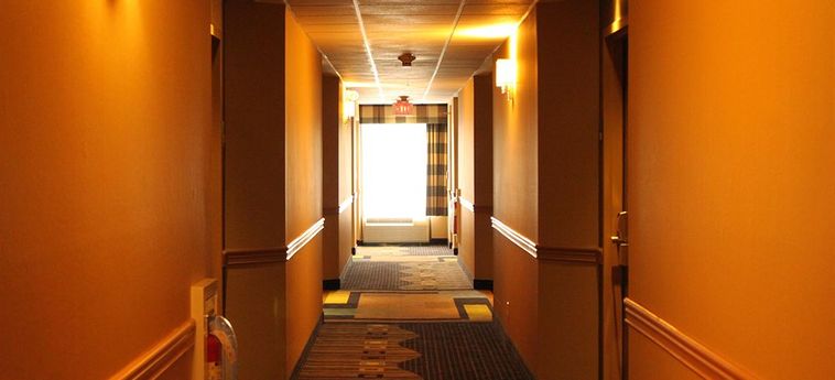 Hotel Holiday Inn Express Lewisburg/new Columbia:  NEW COLUMBIA (PA)