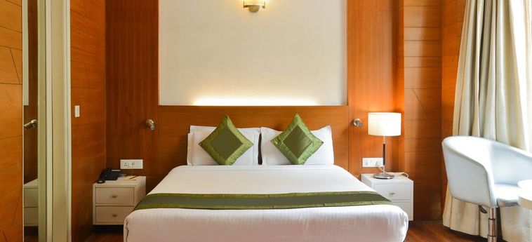 Hotel Treebo Checkin By Oran:  NEW DELHI