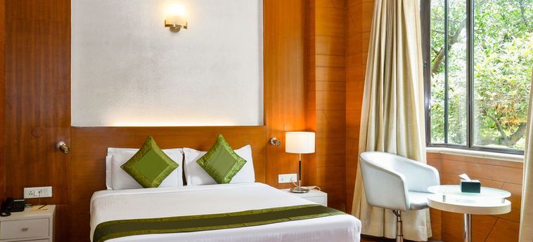 Hotel Treebo Checkin By Oran:  NEW DELHI