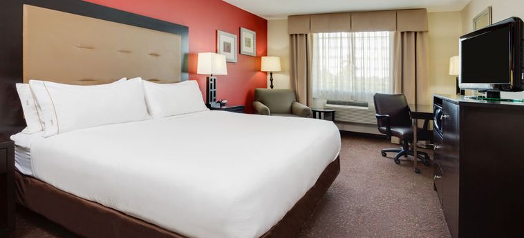 Hotel Holiday Inn Express Harvey-Marrero:  NEW ORLEANS (LA)
