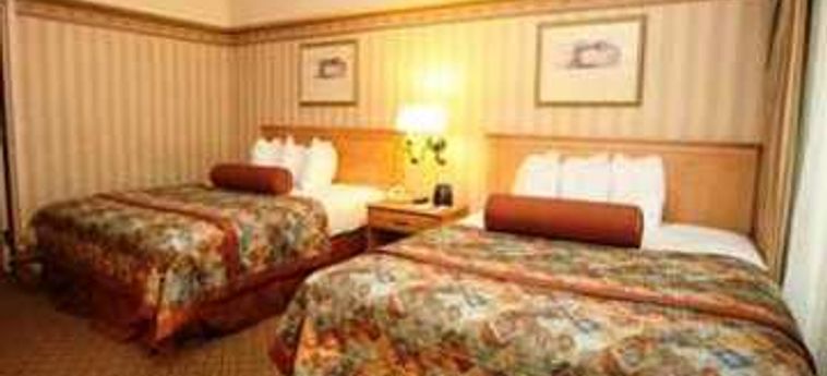 Hotel Embassy Suites By Hilton New Orleans Convention Center:  NEW ORLEANS (LA)