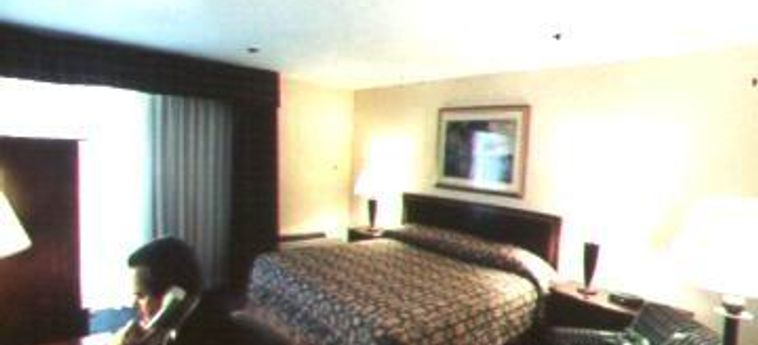 Hotel Holiday Inn Downtown Superdome:  NEW ORLEANS (LA)