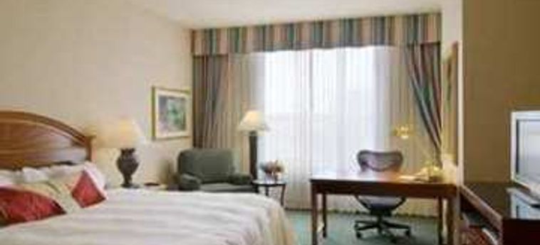 Hotel Hilton Garden Inn New Orleans French Quarter-Cbd:  NEW ORLEANS (LA)