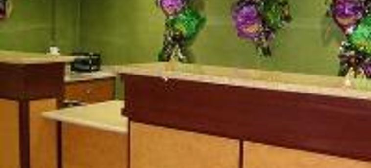 Hotel Holiday Inn Express - New Orleans East:  NEW ORLEANS (LA)
