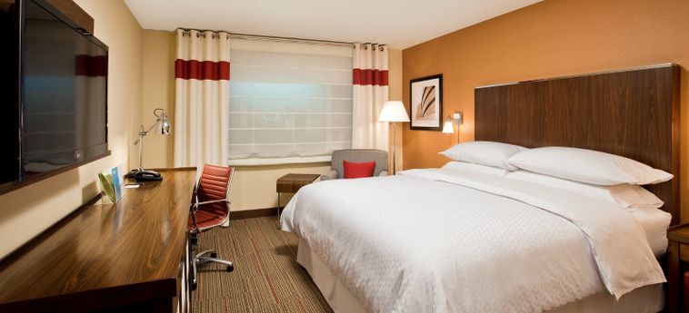 Hotel Four Points By Sheraton New York Downtown:  NEW YORK (NY)