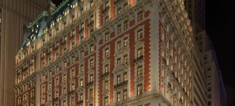 The Knickerbocker Hotel:  NEW YORK (NY)