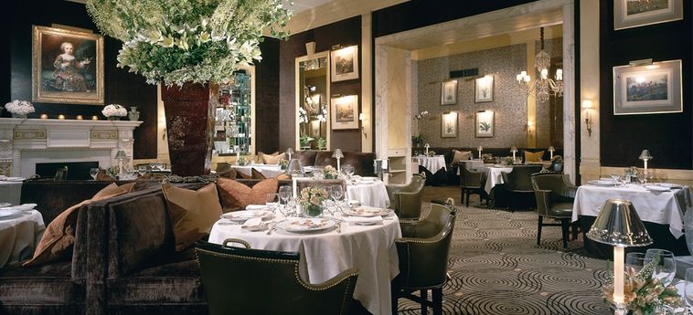 The Carlyle, A Rosewood Hotel:  NEW YORK (NY)
