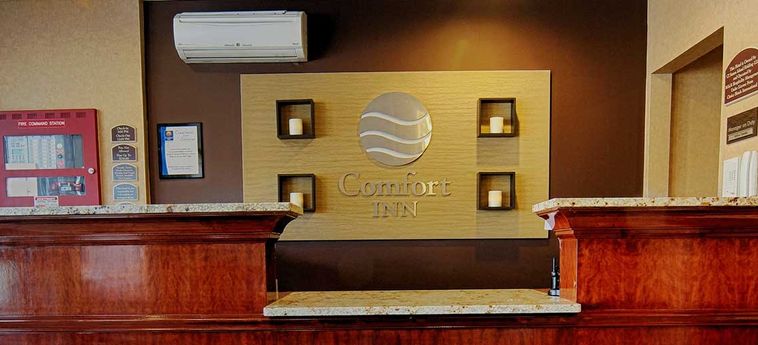 Hotel Comfort Inn Staten Island:  NEW YORK (NY)