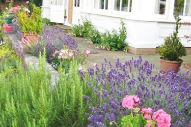 Norfolk House Bed And Breakfast Newmarket: Photo 