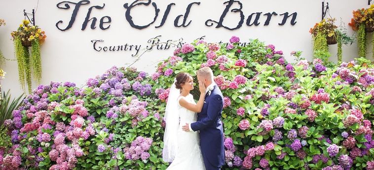 Hotel The Old Barn Inn Newport: Foto 