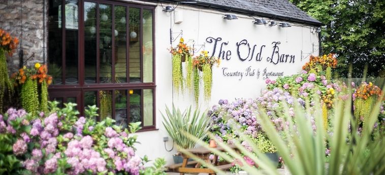 Hotel The Old Barn Inn Newport: Foto 