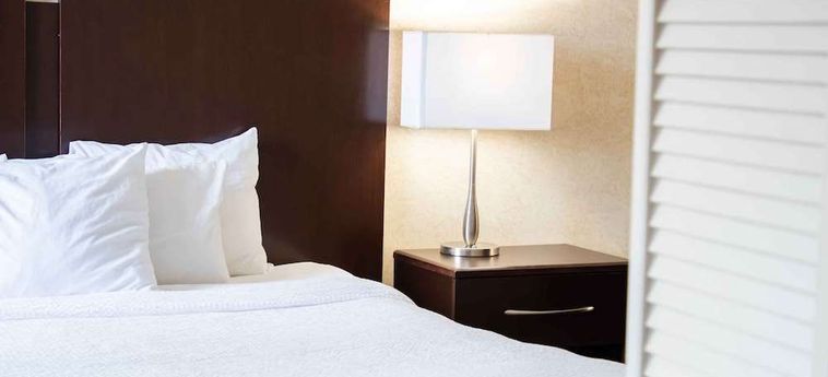 The Oakes Hotel Overlooking The Falls Niagara Falls - Ontario: Foto 