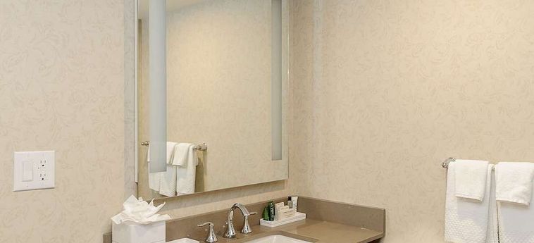 Hilton Niagara Falls/Fallsview Hotel &Amp; Suites Niagara Falls - Ontario : Photo 
