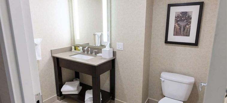Hilton Niagara Falls/Fallsview Hotel &Amp; Suites Niagara Falls - Ontario: Foto 