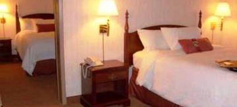 Hotel Clifton Victoria Inn At The Falls:  NIAGARA FALLS - ONTARIO