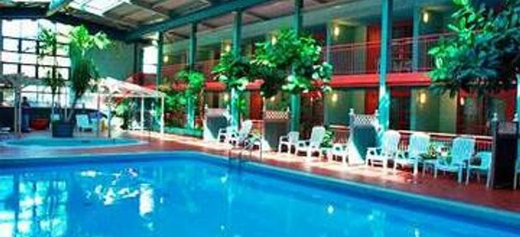 Hotel Comfort Inn Clifton Hill:  NIAGARA FALLS - ONTARIO