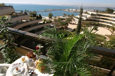 Hotel Holiday Inn Nice - Saint Laurent Du Var:  NICE