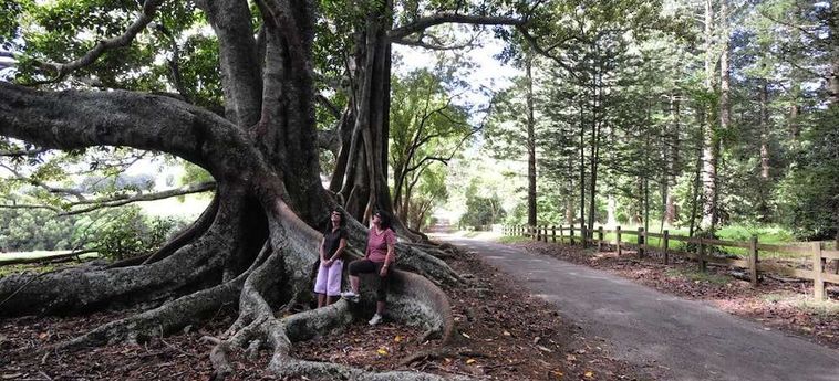 Paradise Hotel &Amp; Resort Norfolk Island: Foto 