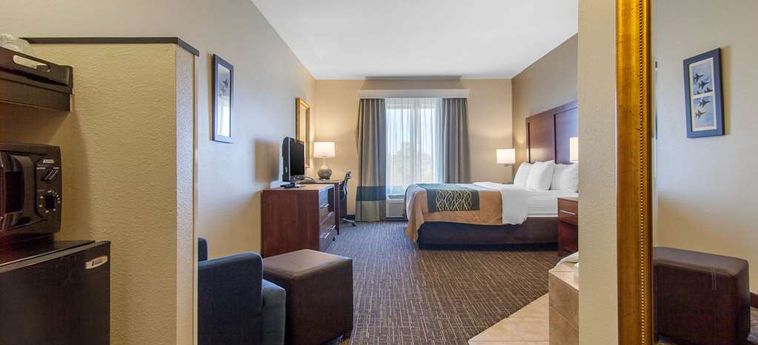 Hotel Comfort Inn & Suites:  NORMAN (OK)