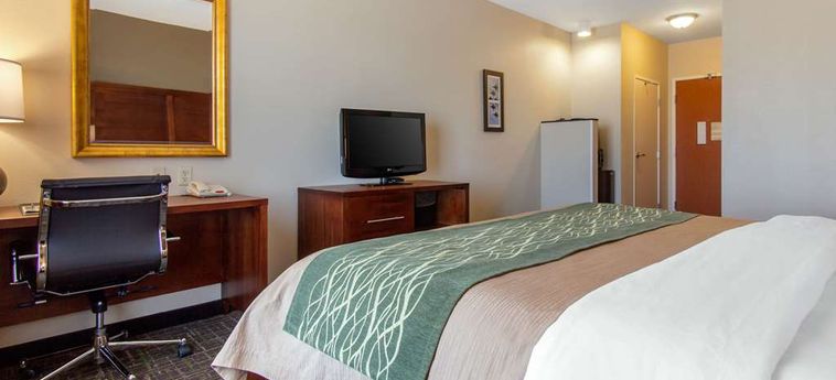 Hotel Comfort Inn & Suites:  NORMAN (OK)