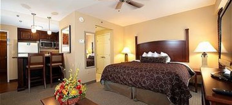 Hotel Staybridge Suites Charleston-Ashley Phosphate:  NORTH CHARLESTON (SC)