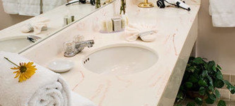 The White Mountain Hotel And Resort North Conway (Nh) : Photo 