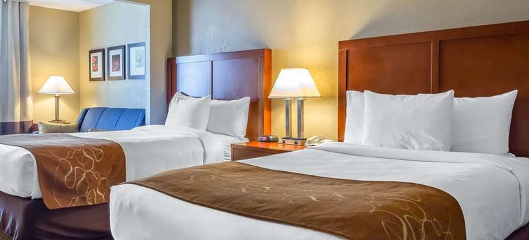 Hotel Comfort Suites:  NORWICH (CT)