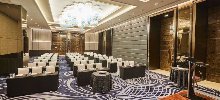 Hotel Crowne Plaza New Delhi Rohini Nueva Delhi: Foto 