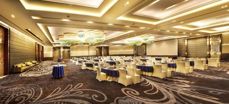 Hotel Crowne Plaza New Delhi Rohini Nueva Delhi: Foto 