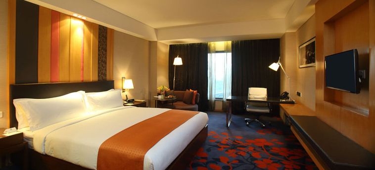 Hotel Holiday Inn New Delhi Mayur Vihar Noida:  NUEVA DELHI