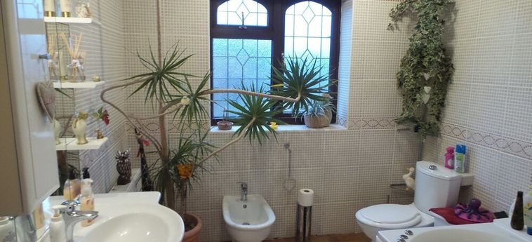 The Cedars House B&Amp;B Nuneaton: Foto 