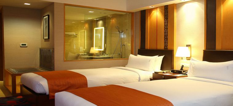 Hotel Holiday Inn New Delhi Mayur Vihar Noida:  NUOVA DELHI