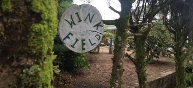 Hotel Wink Field  Nuwara Eliya: Foto 