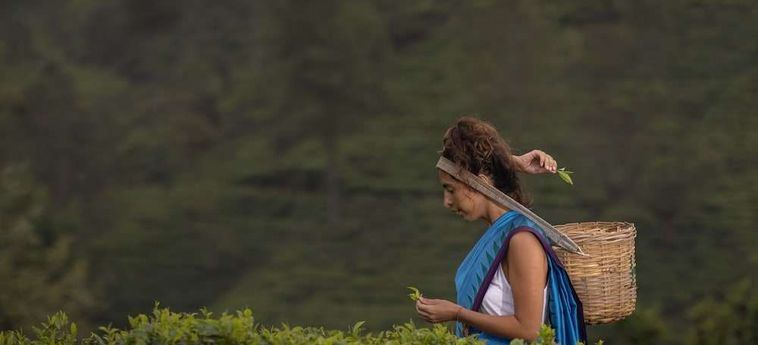 Hotel Heritance Tea Factory Nuwara Eliya : Photo 