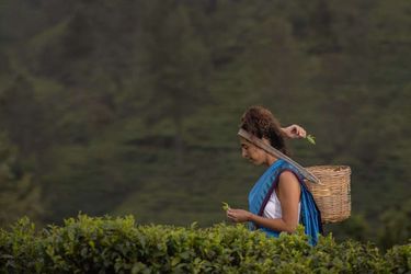 Hotel Heritance Tea Factory Nuwara Eliya: Photo 